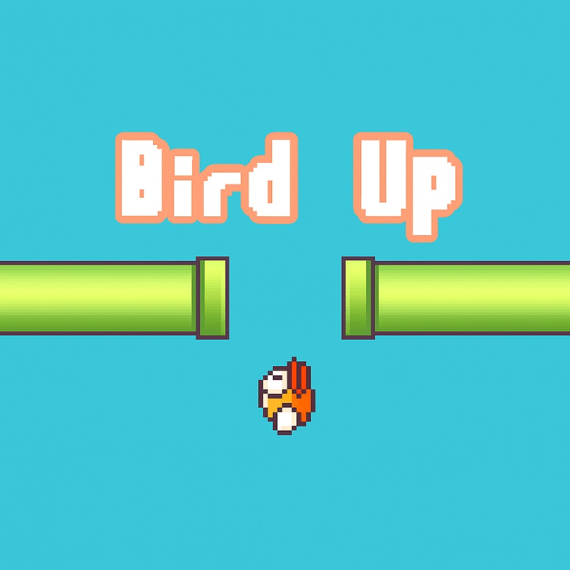 bird up